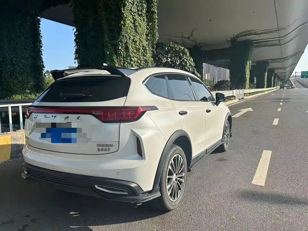 Haval Chitu — миниатюра 5