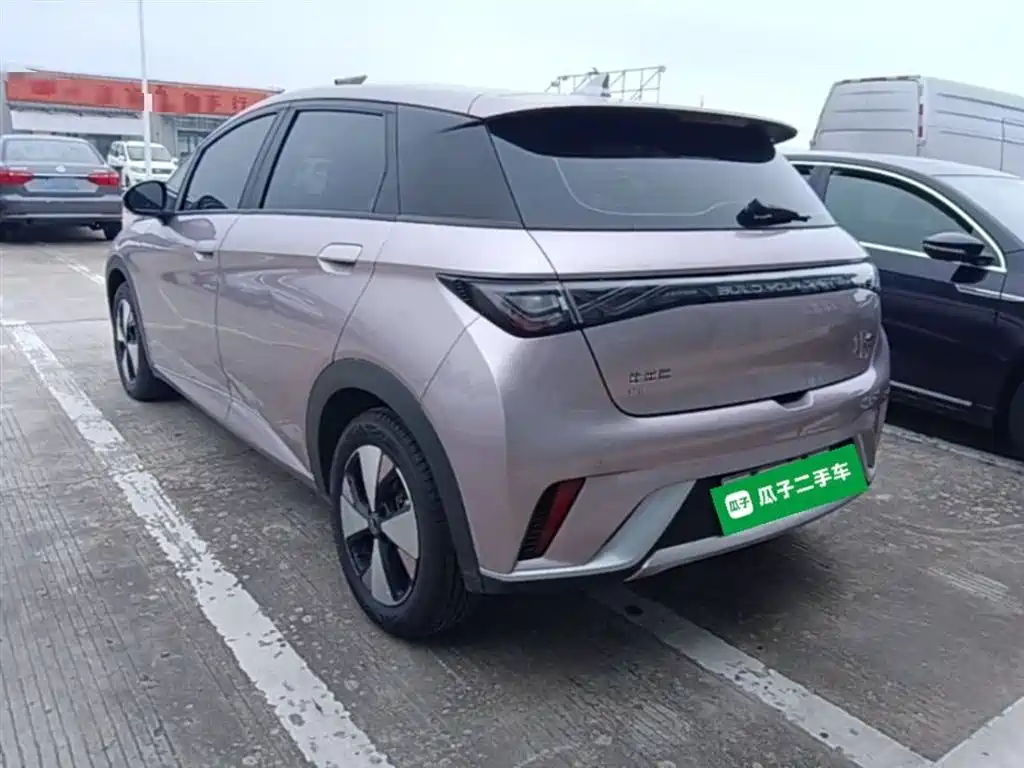 BYD Dolphin 2023 420km Freedom