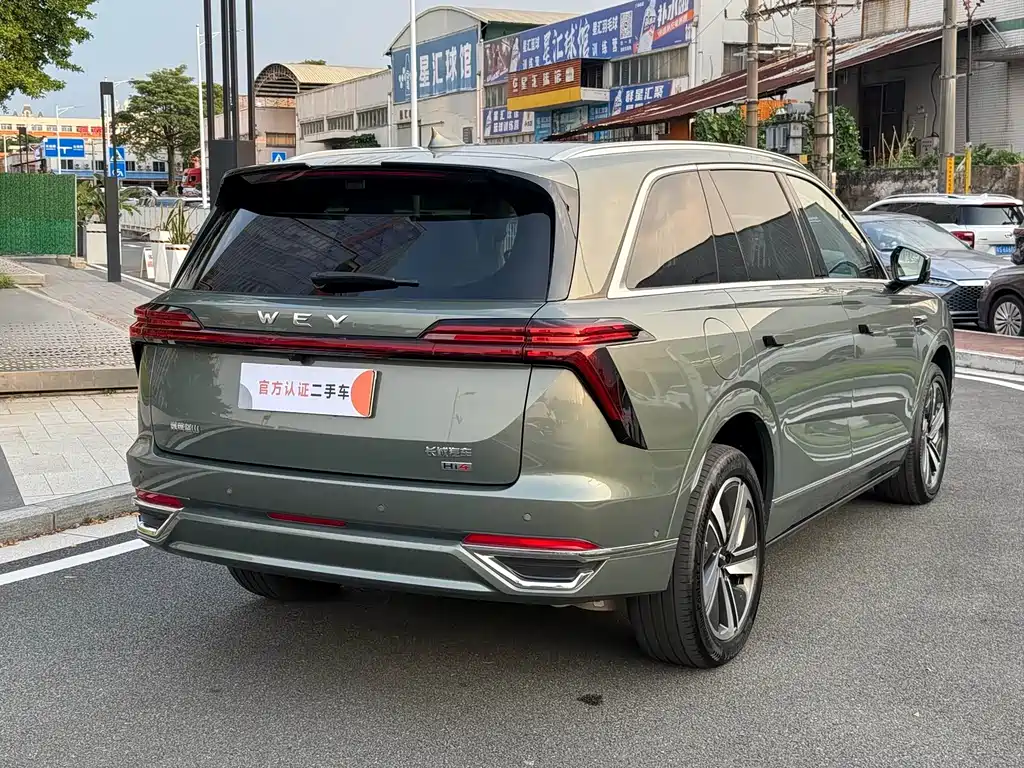 Wey Wey Lanshan — миниатюра 12
