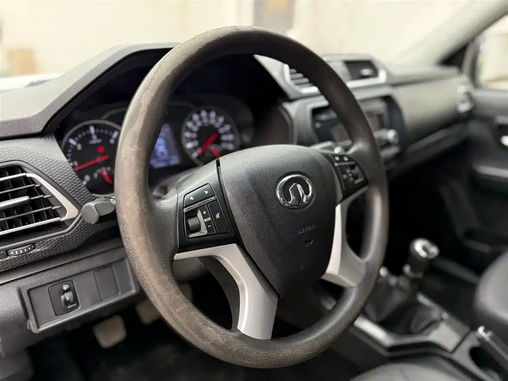 GREAT WALL FENGJUN 5