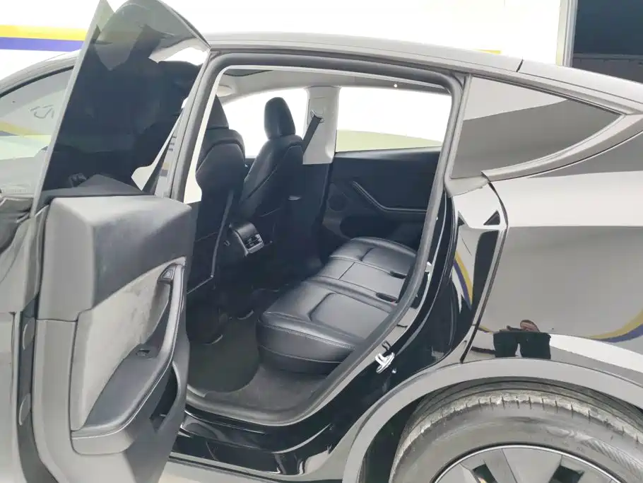 Tesla Model Y — миниатюра 11