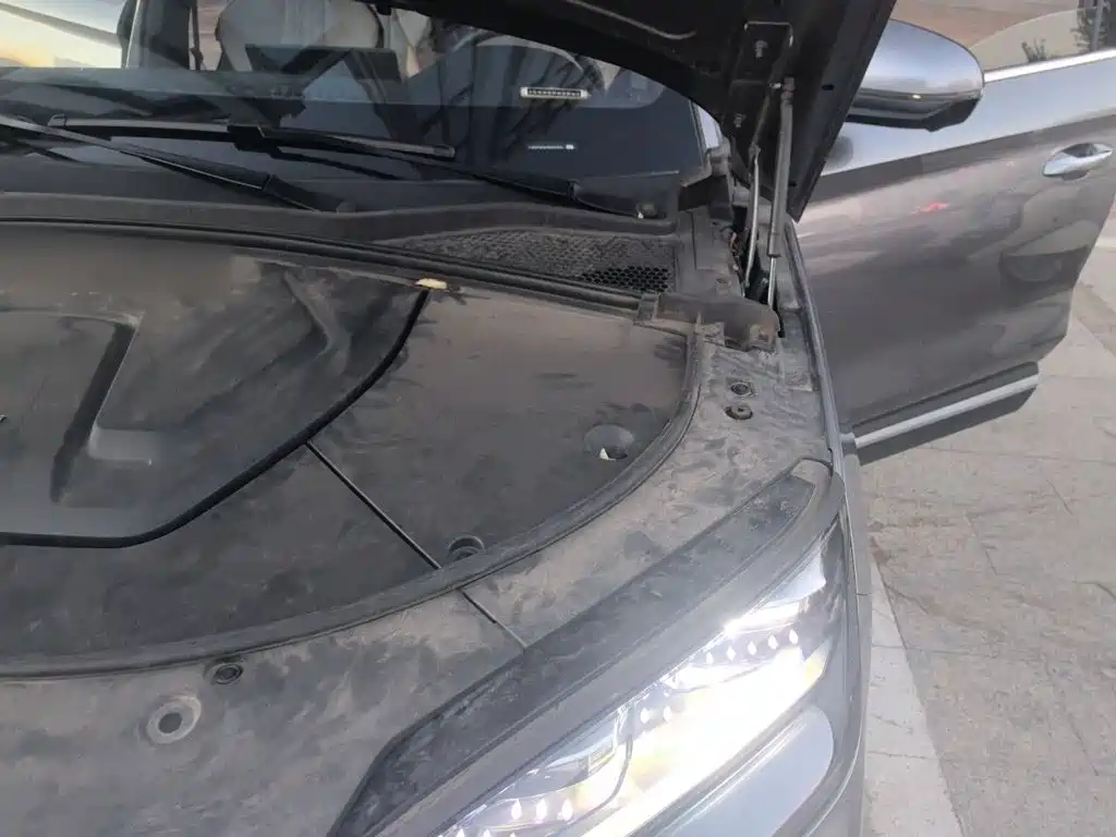 BYD PLUS New Energy — миниатюра 20