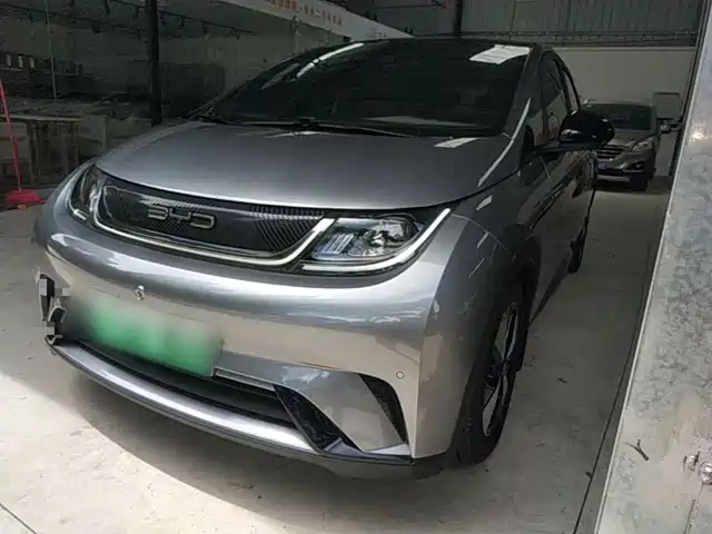 2023 BYD Dolphin