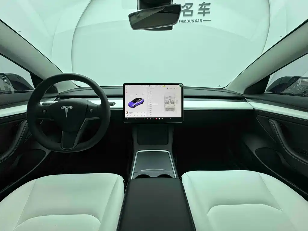 Tesla Model 3 2021 3D6