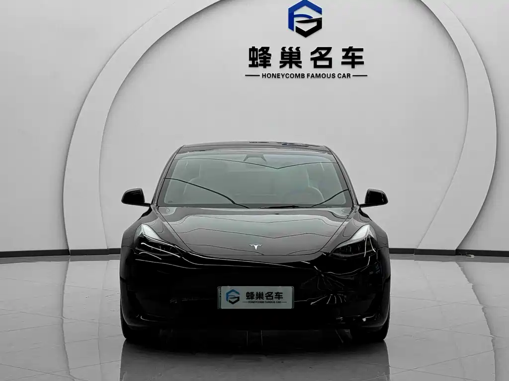 Tesla Model 3 2021 3D6