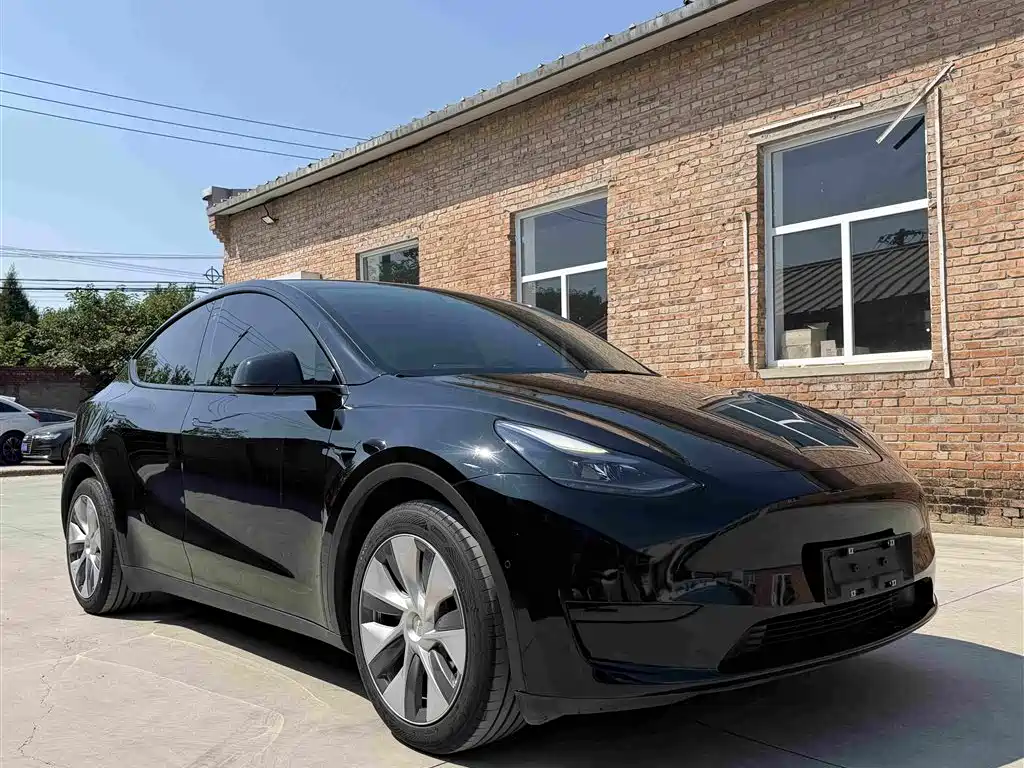 Tesla Model Y — миниатюра 2