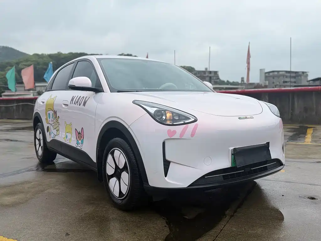 Geely Geome Xingyuan 2025 310km