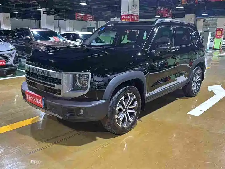Haval Big Dog