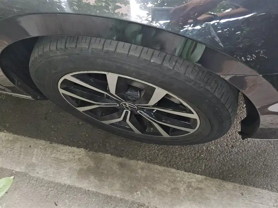 Volkswagen Magotan 2020 330TSI DSG Lead