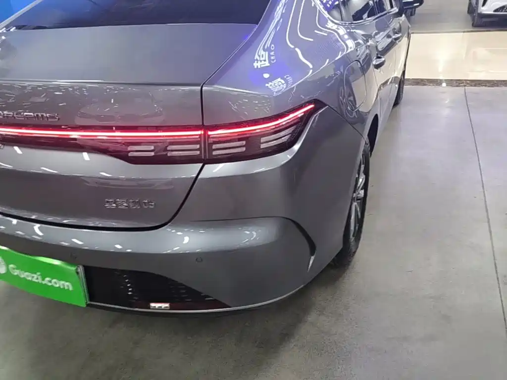 BYD Destroyer 05 2023 Champion DM-i 55KM Luxury