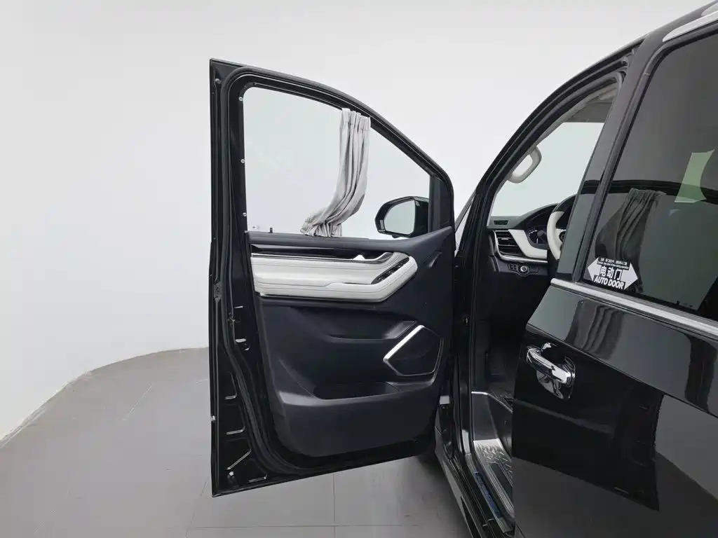MAXUS G20 — миниатюра 8