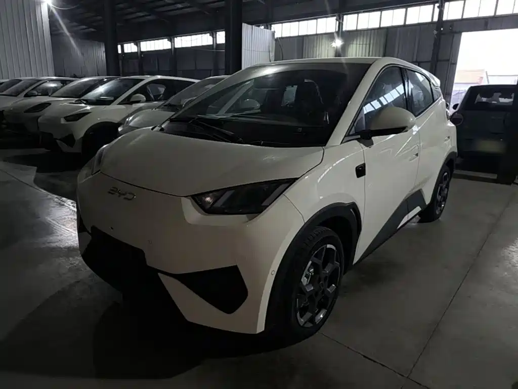 BYD Seagull 2025 Smart Drive 305km Freedom