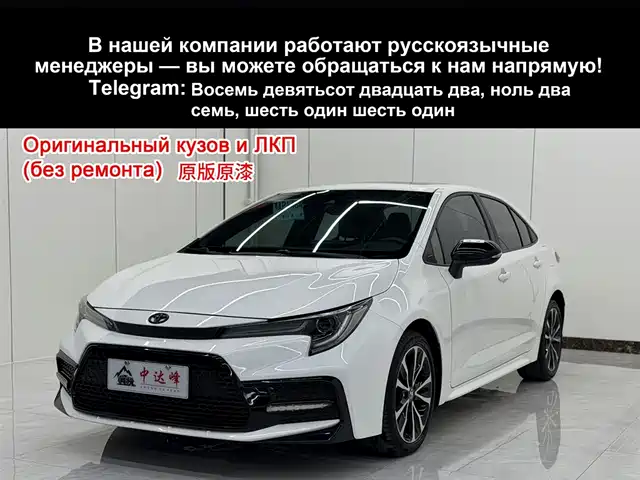 TOYOTA LEI LING 2022