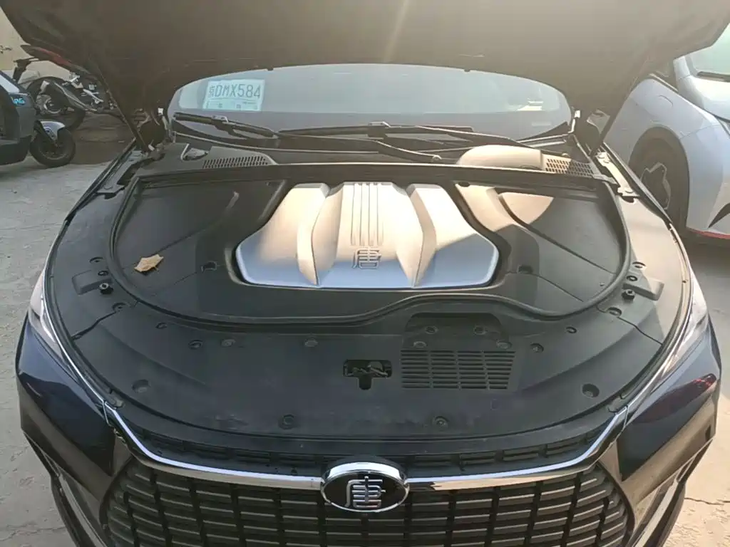 BYD Tang New Energy — миниатюра 20