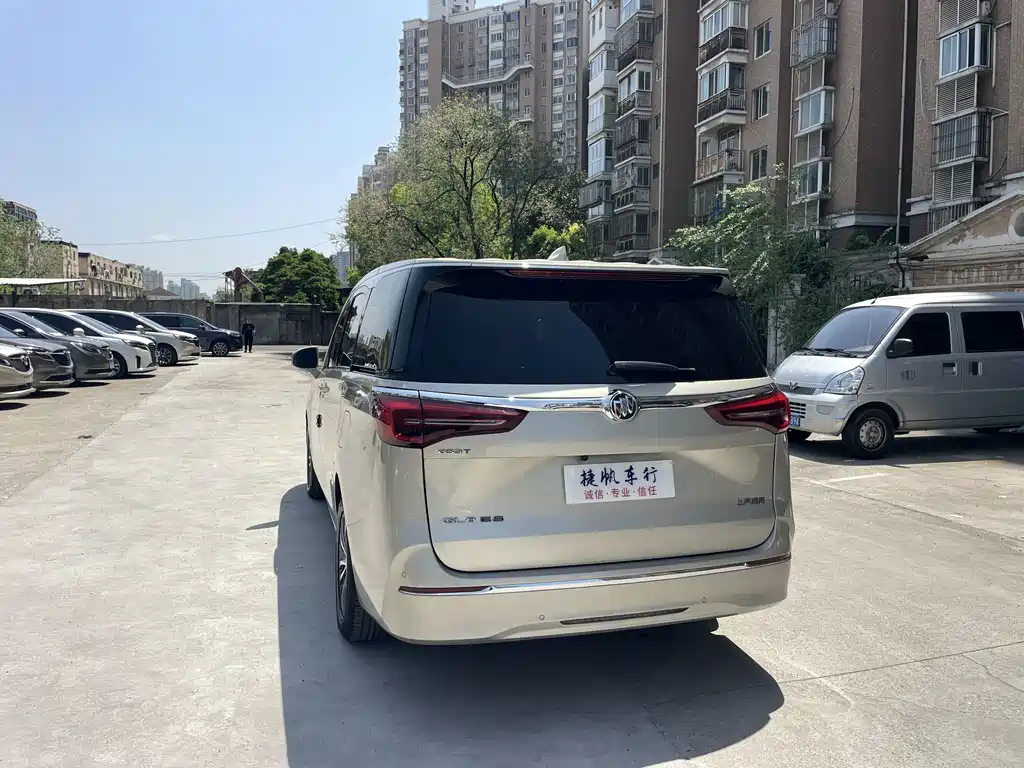 Buick GL8 ES LandKing 653T Comfort Type, фото 4