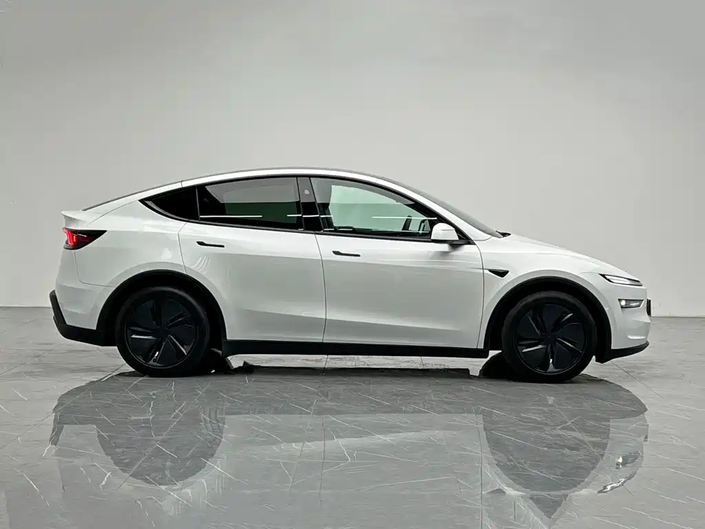 Tesla Model Y — миниатюра 7