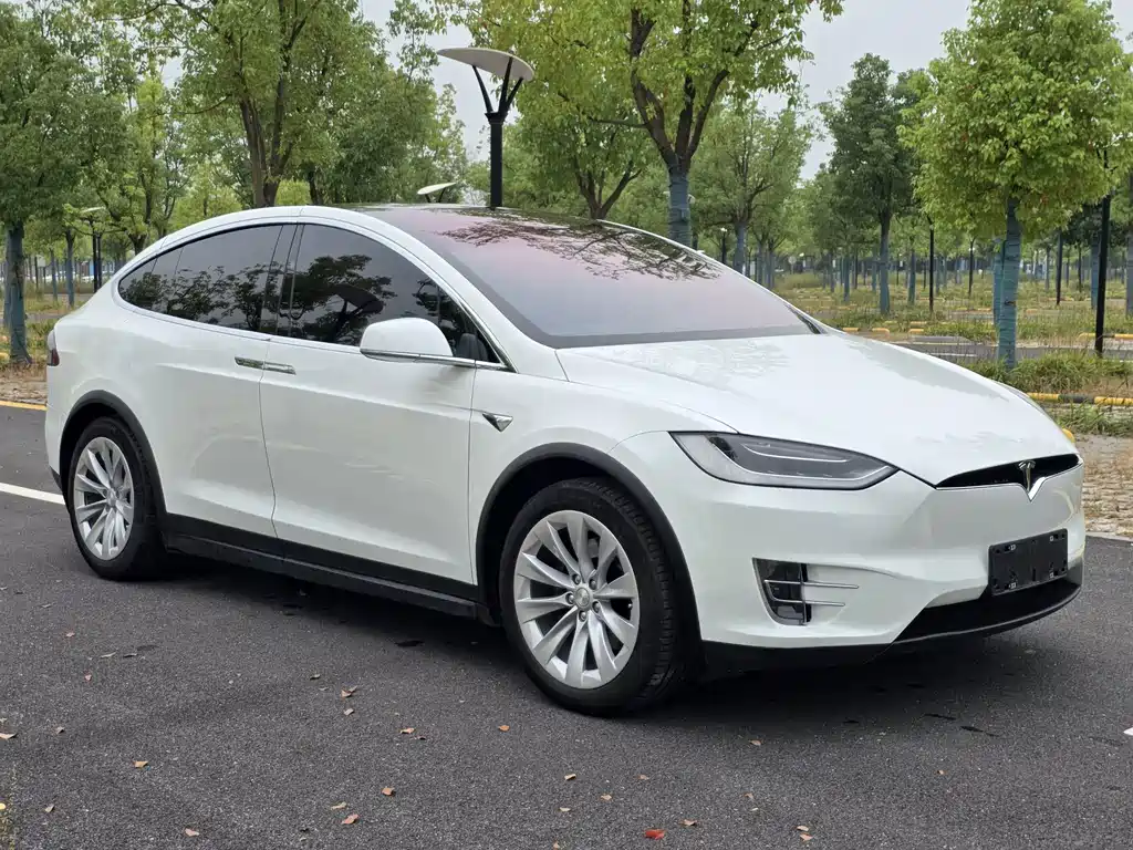 Tesla Model X — миниатюра 3