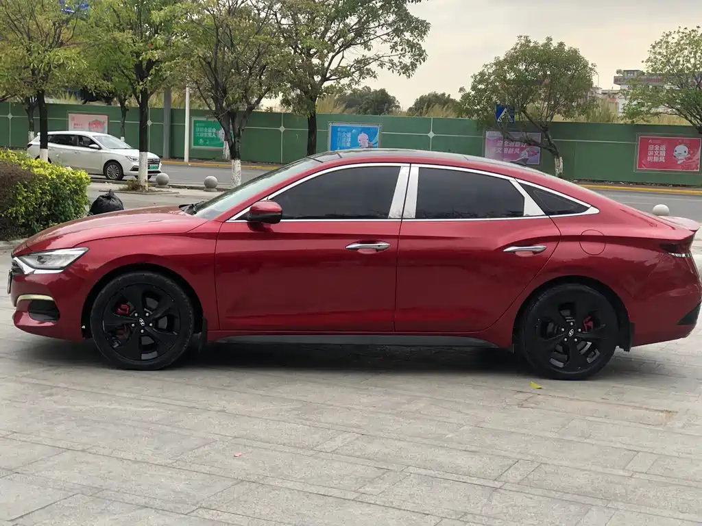 Hyundai Fista - фото 3