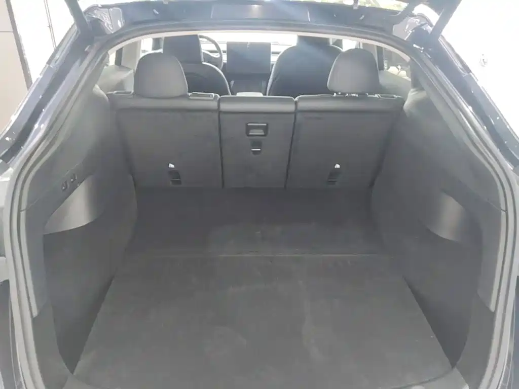 Tesla Model Y — миниатюра 19
