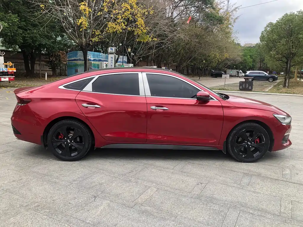 Hyundai Fista - фото 7