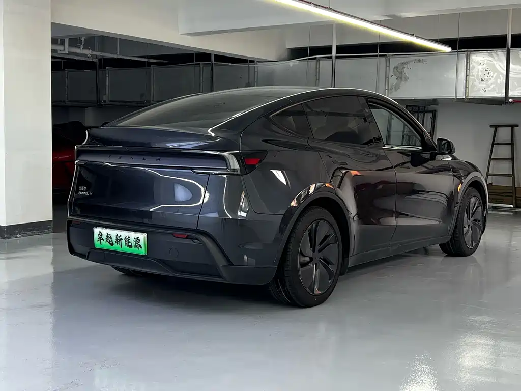 Tesla Model Y — миниатюра 11