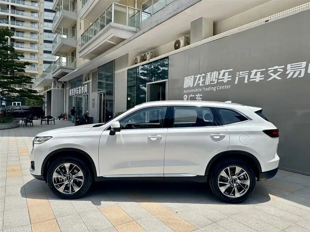 Haval H6 New Energy — миниатюра 3
