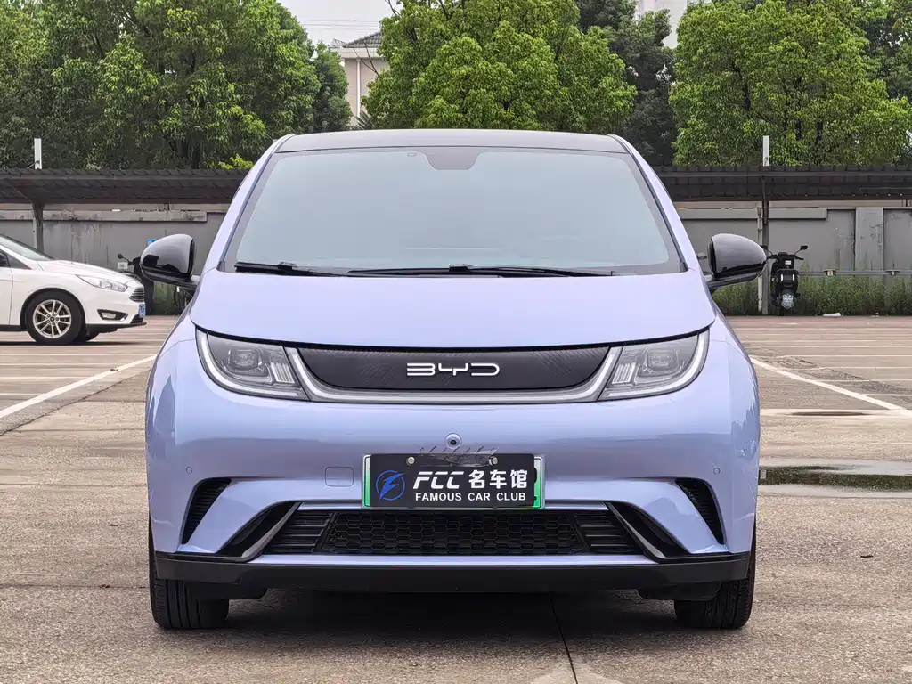 BYD Dolphin — миниатюра 2