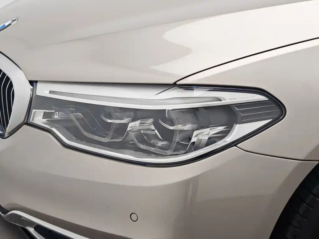 BMW 5 Series 5 2020 530Li Lead Luxury