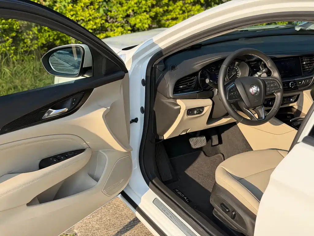 Buick Regal — миниатюра 10
