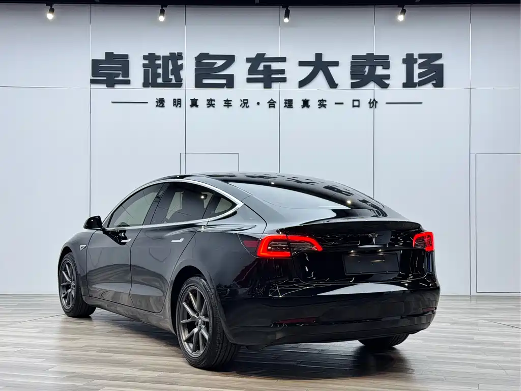 Tesla Model 3 2021 3D6