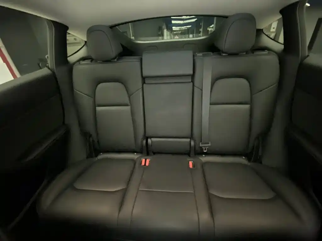 Tesla Model Y — миниатюра 19