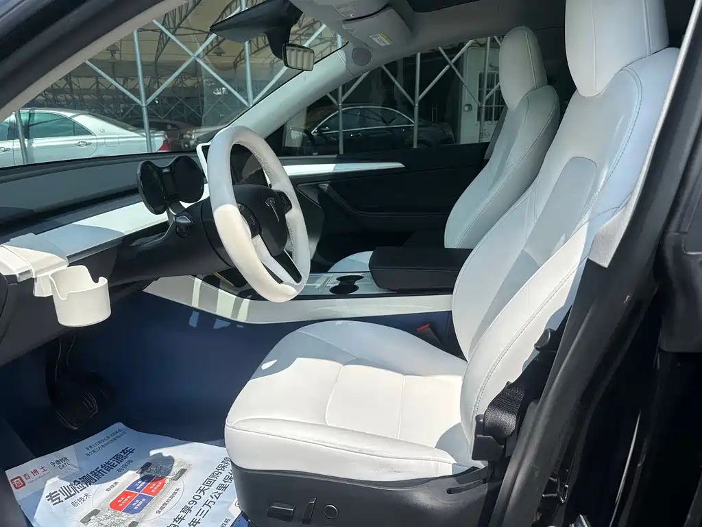 Tesla Model Y — миниатюра 6