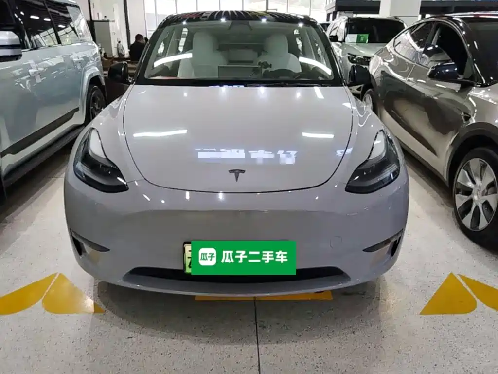 Tesla Model Y — миниатюра 3