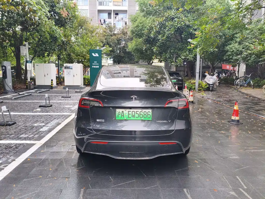 Tesla Model Y — миниатюра 9