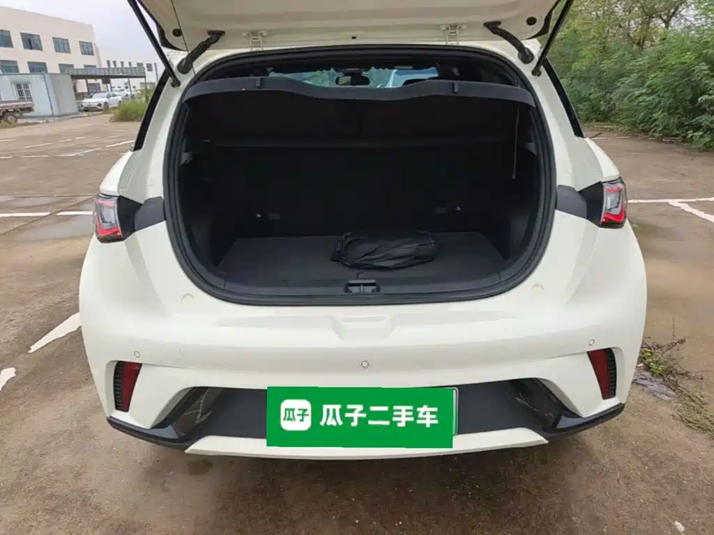 BYD Dolphin — миниатюра 19