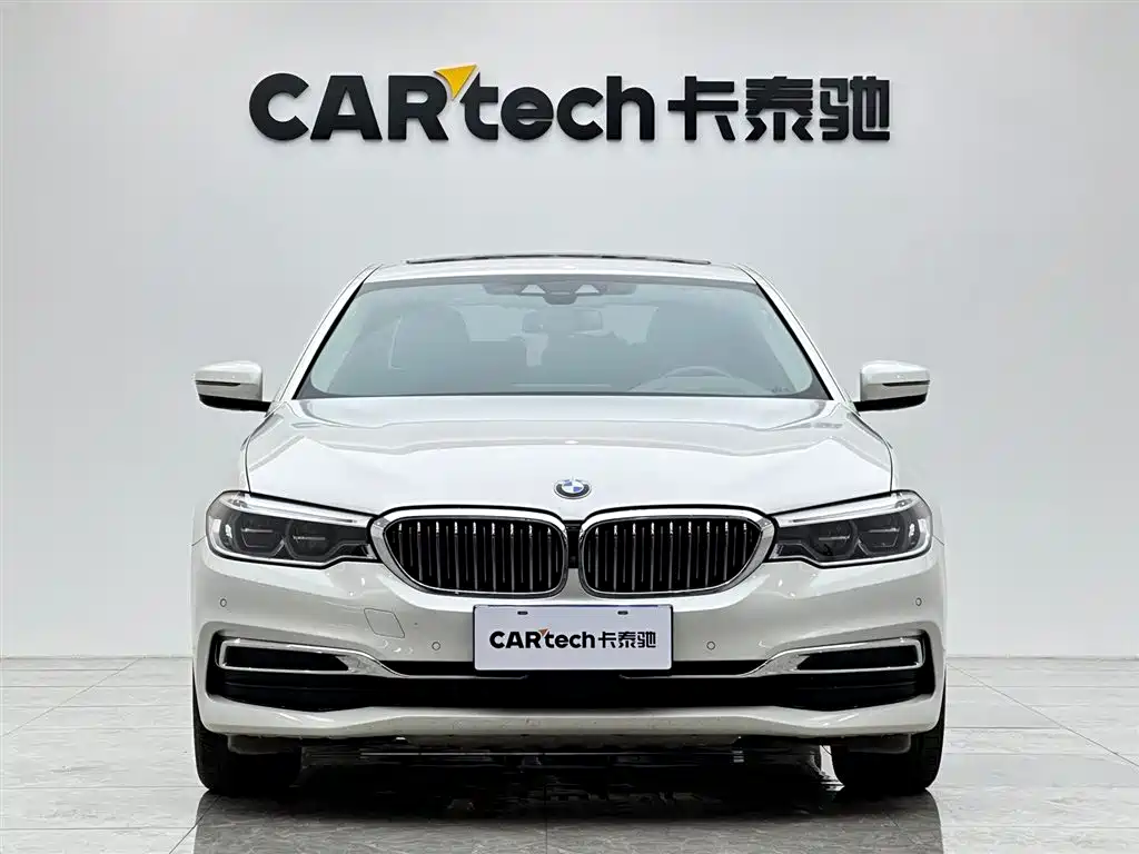 BMW 5 Series 5 2020 530Li Premium Luxury