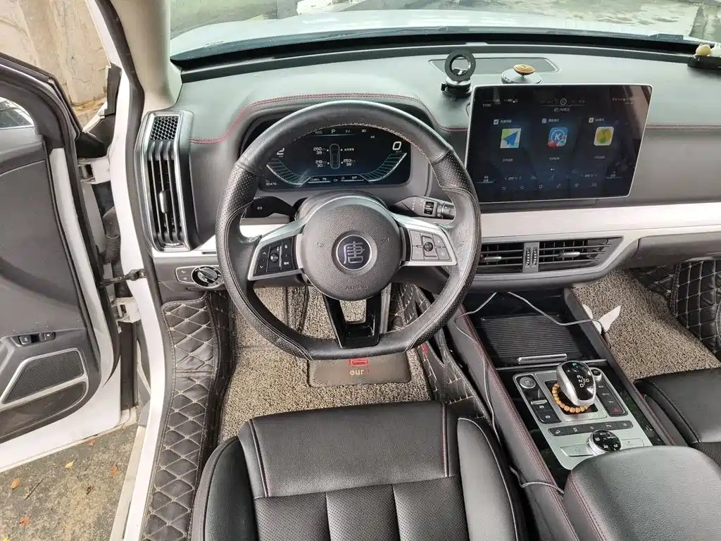BYD Tang New Energy — миниатюра 11