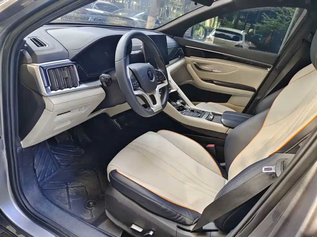 BYD PLUS New Energy — миниатюра 6