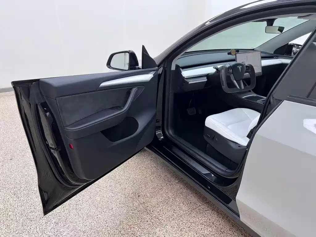 Tesla Model Y — миниатюра 25