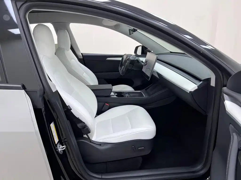 Tesla Model Y — миниатюра 16