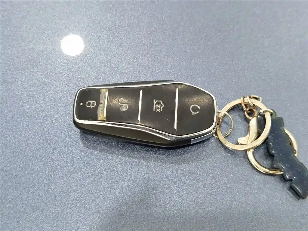 BYD SONGJIANG NEW ENERGY