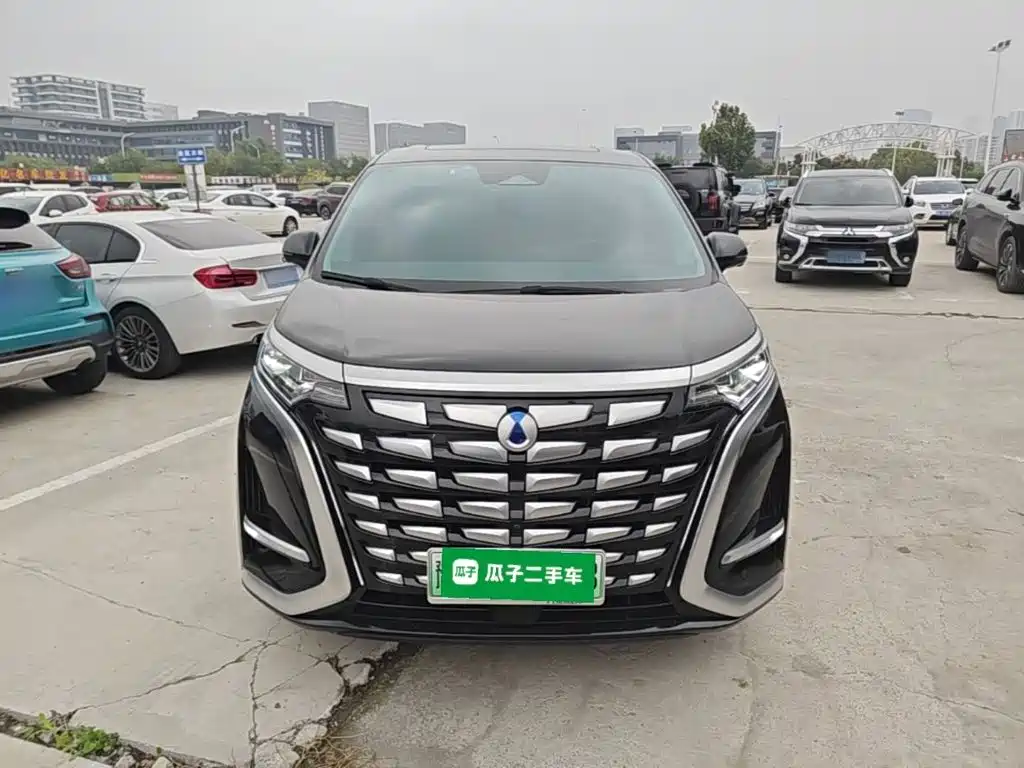 Denza Denza D9 — миниатюра 3