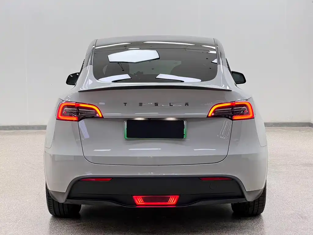Tesla Model Y — миниатюра 5