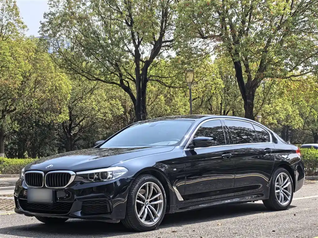 BMW 5 Series 2020