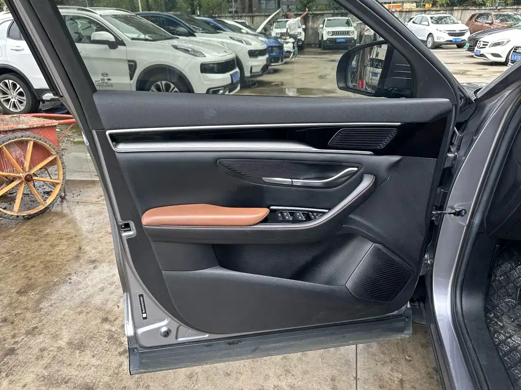 BYD PLUS — миниатюра 4