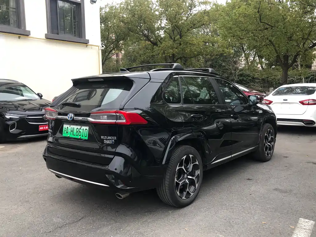 TOYOTA WEILANDA NEW ENERGY