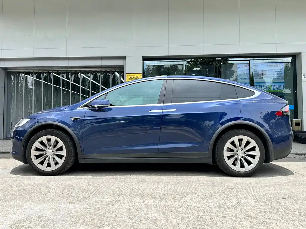 Tesla Model X 2017 Model X 100D