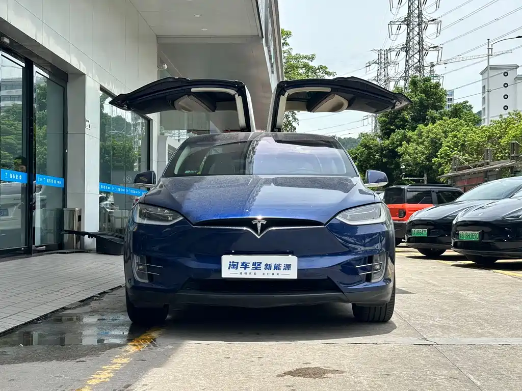 Tesla Model X 2017 Model X 100D