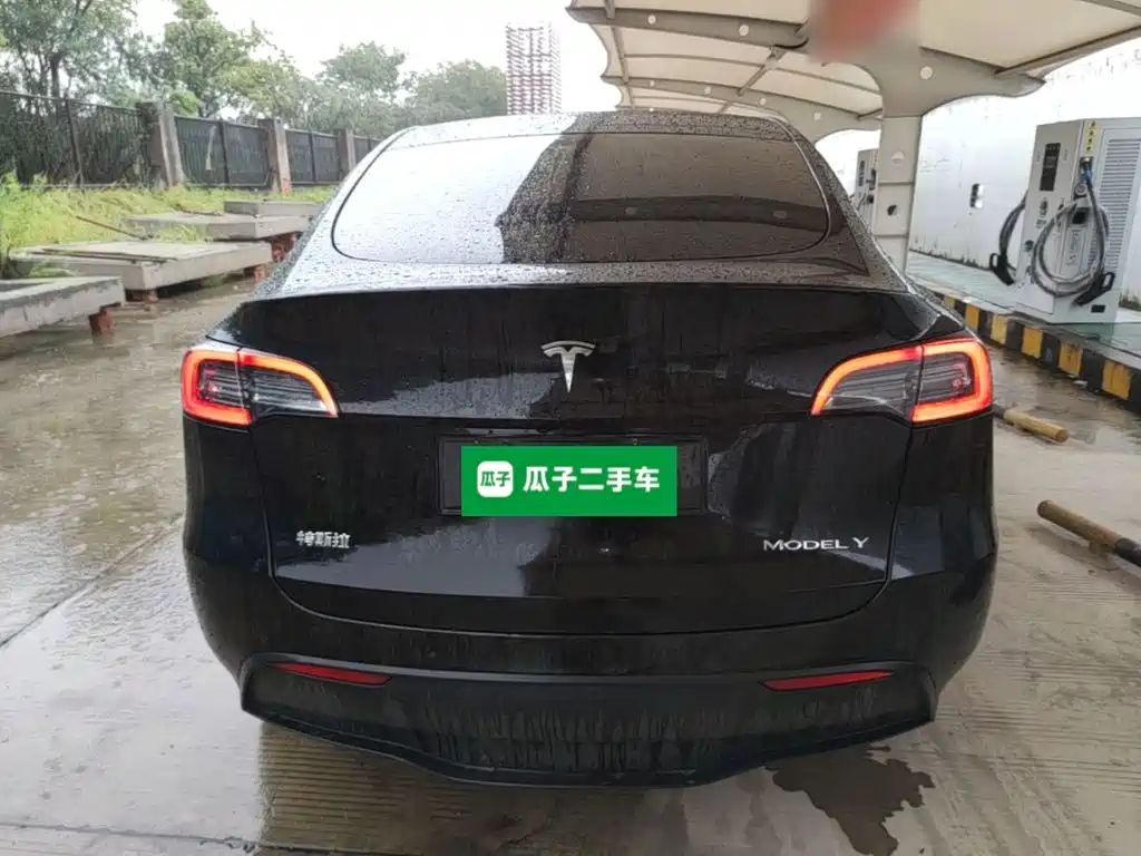 Tesla Model Y — миниатюра 6