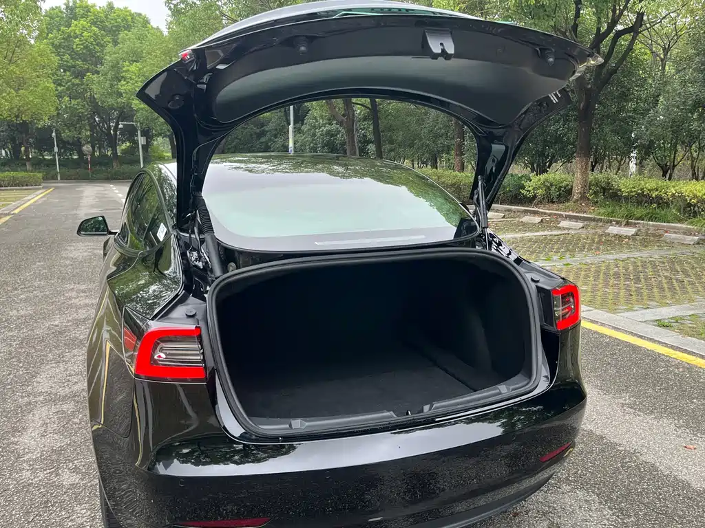 Tesla Model 3 — миниатюра 16